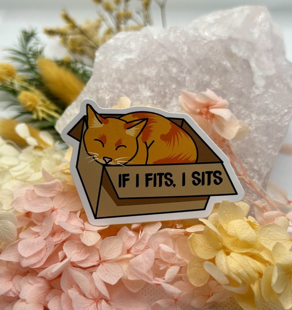 If I Fit's I Sit's Vinyl Sticker